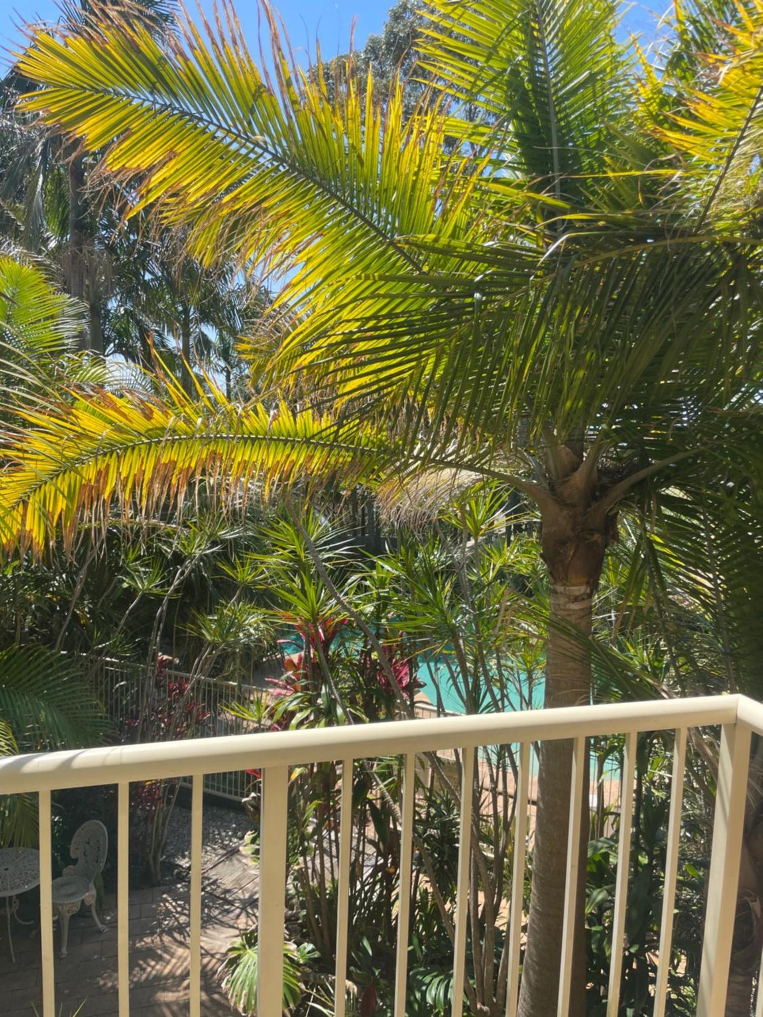 Oasis Inn Ulladulla - Welcoming Guests 18 Years And Older Екстериор снимка